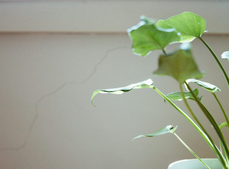 Simple Ways to Reduce Noise at Home for a Calmer Space